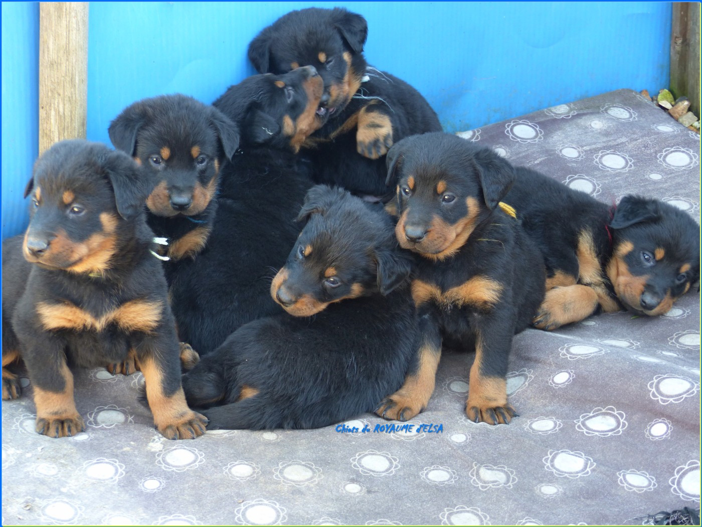 Pour les réservations !!!!!